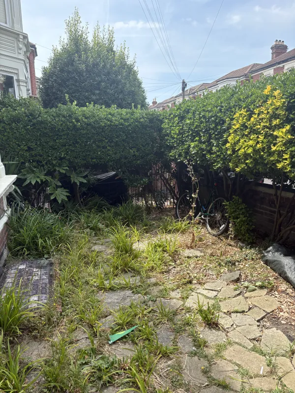 Garden before the visit