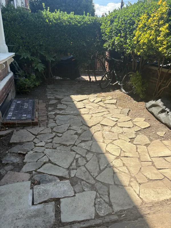 The same garden after the visit