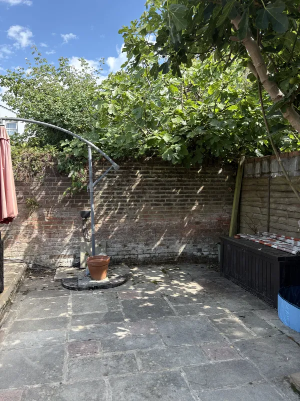 The same garden after the visit